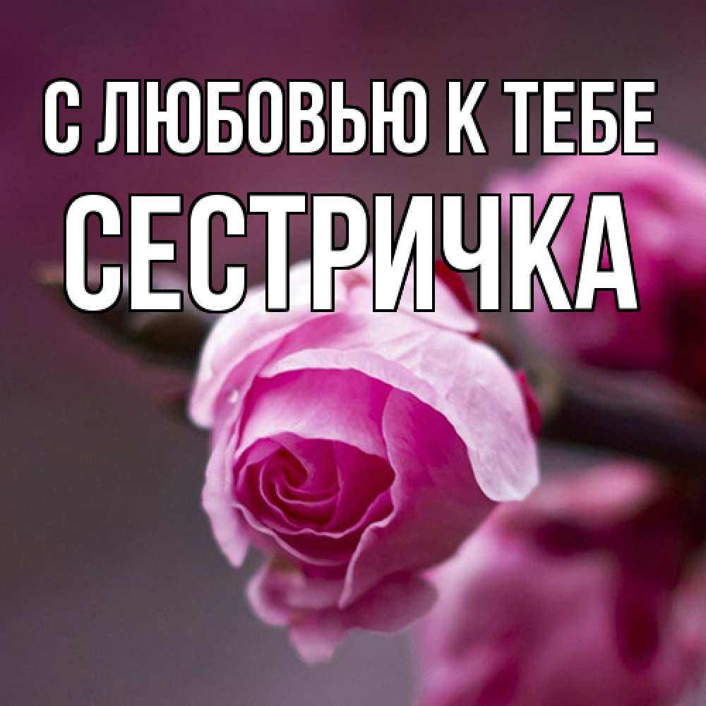 Открытка  с именем. Сестричка, С любовью к тебе  