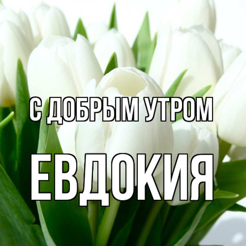 Картинка С добрым утром, Евдокия