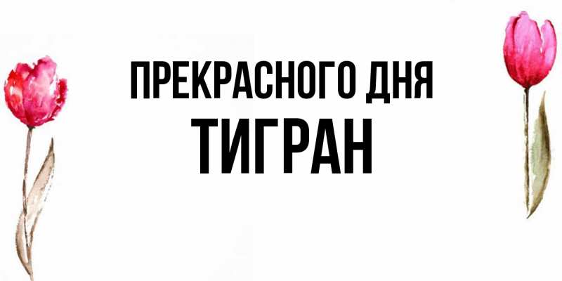 Картинка Прекрасного дня, Тигран