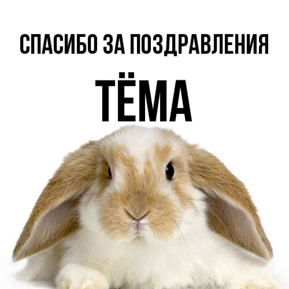 Открытка  с именем. Тёма, Спасибо за поздравления  