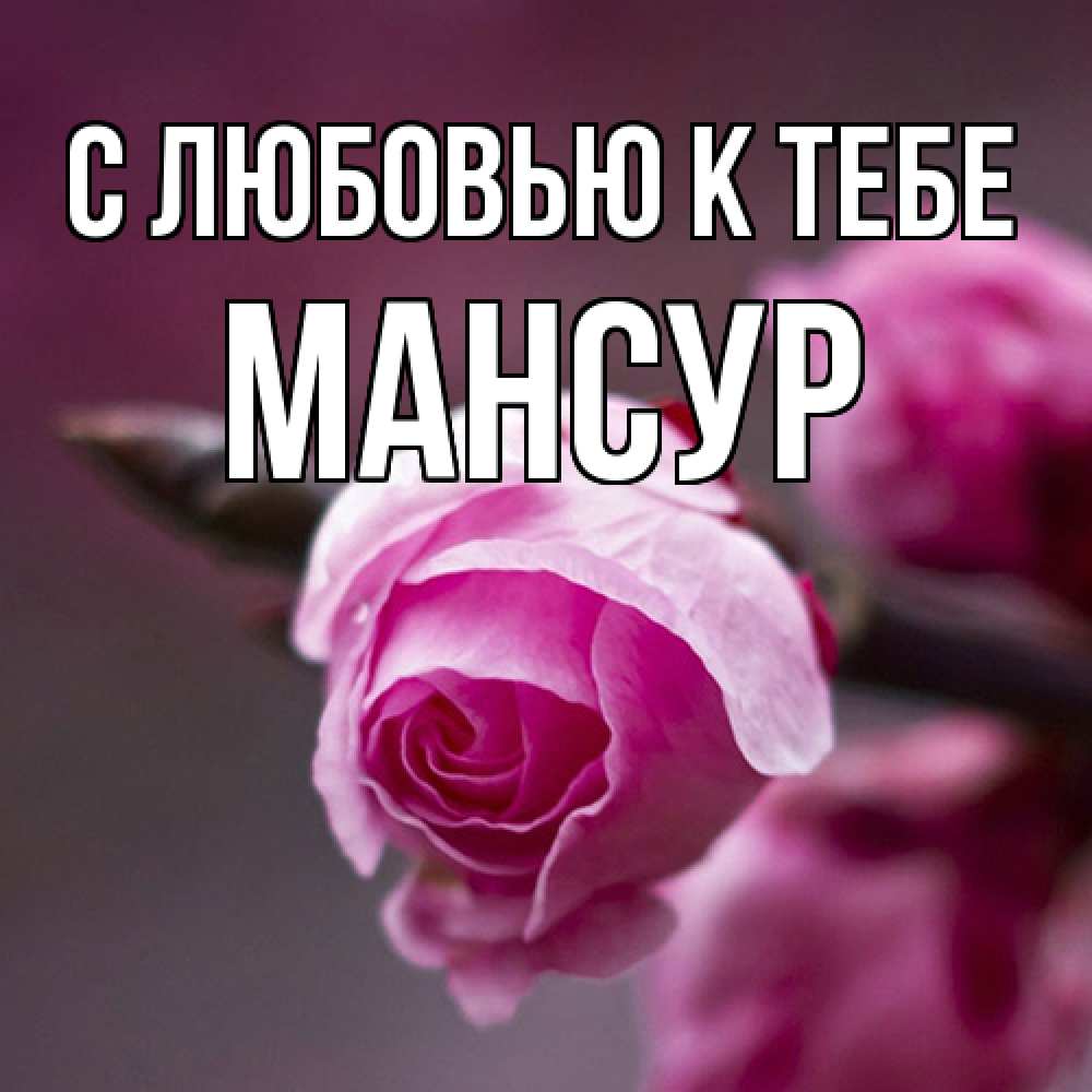 Открытка  с именем. Мансур, С любовью к тебе  