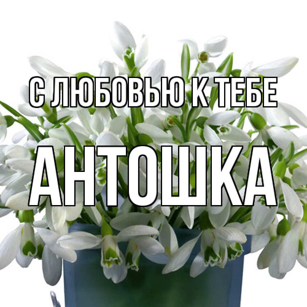 Открытка  с именем. Антошка, С любовью к тебе  