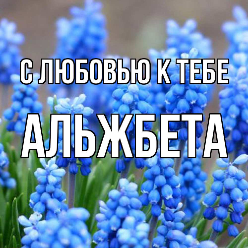 Открытка  с именем. Альжбета, С любовью к тебе  