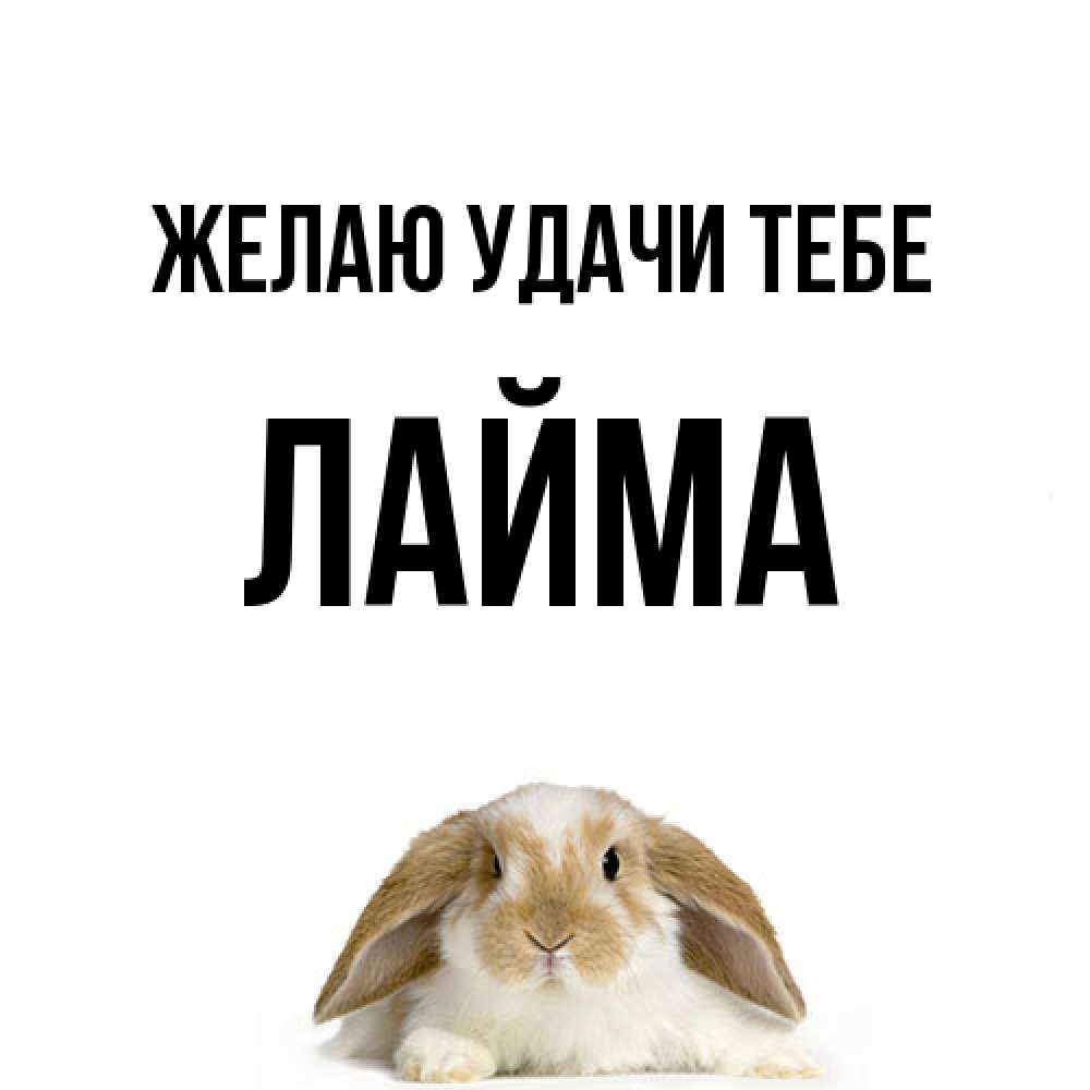 Открытка  с именем. Лайма, Желаю удачи тебе  