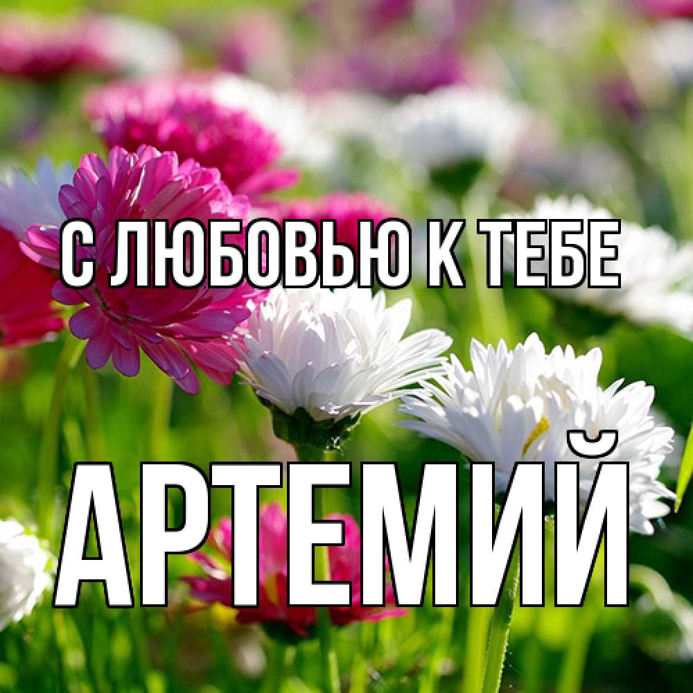 Открытка  с именем. Артемий, С любовью к тебе  
