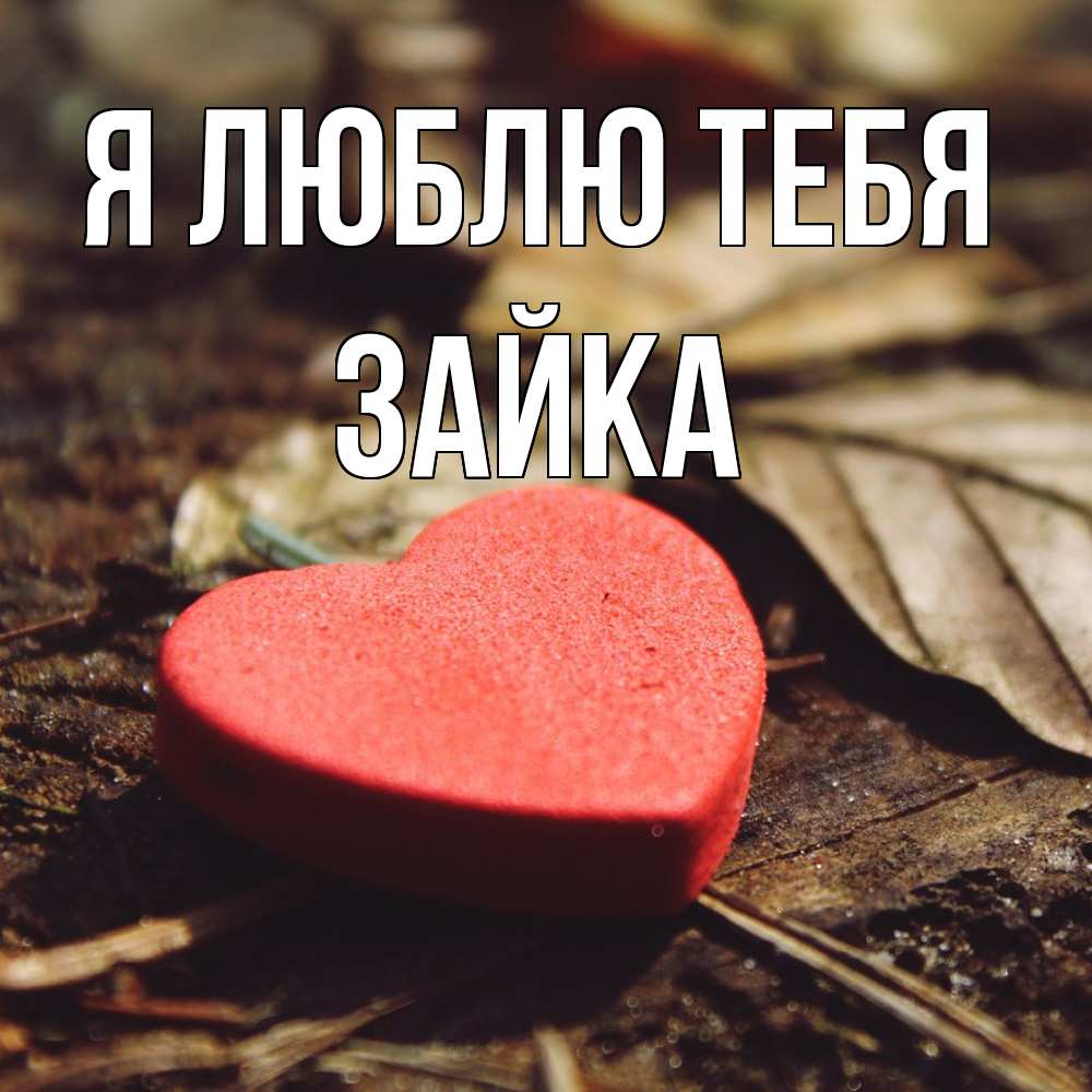 Открытка  с именем. Зайка, Я люблю тебя  