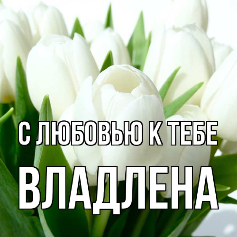 Картинка С любовью к тебе, Владлена