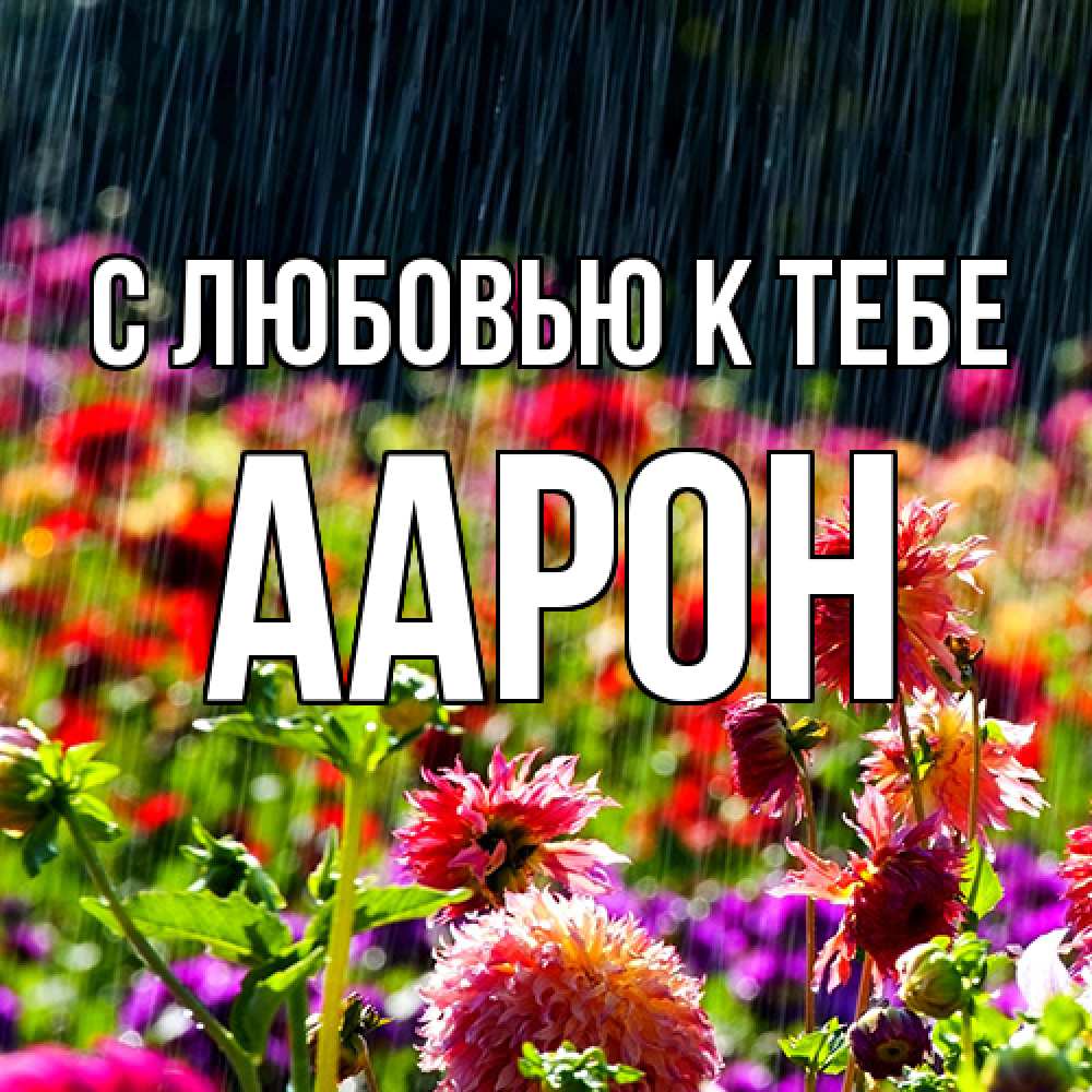 Открытка  с именем. Аарон, С любовью к тебе  