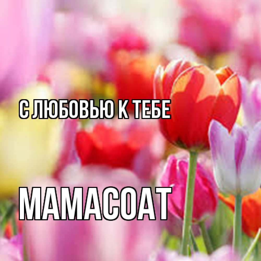 Открытка  с именем. Мамасоат, С любовью к тебе  