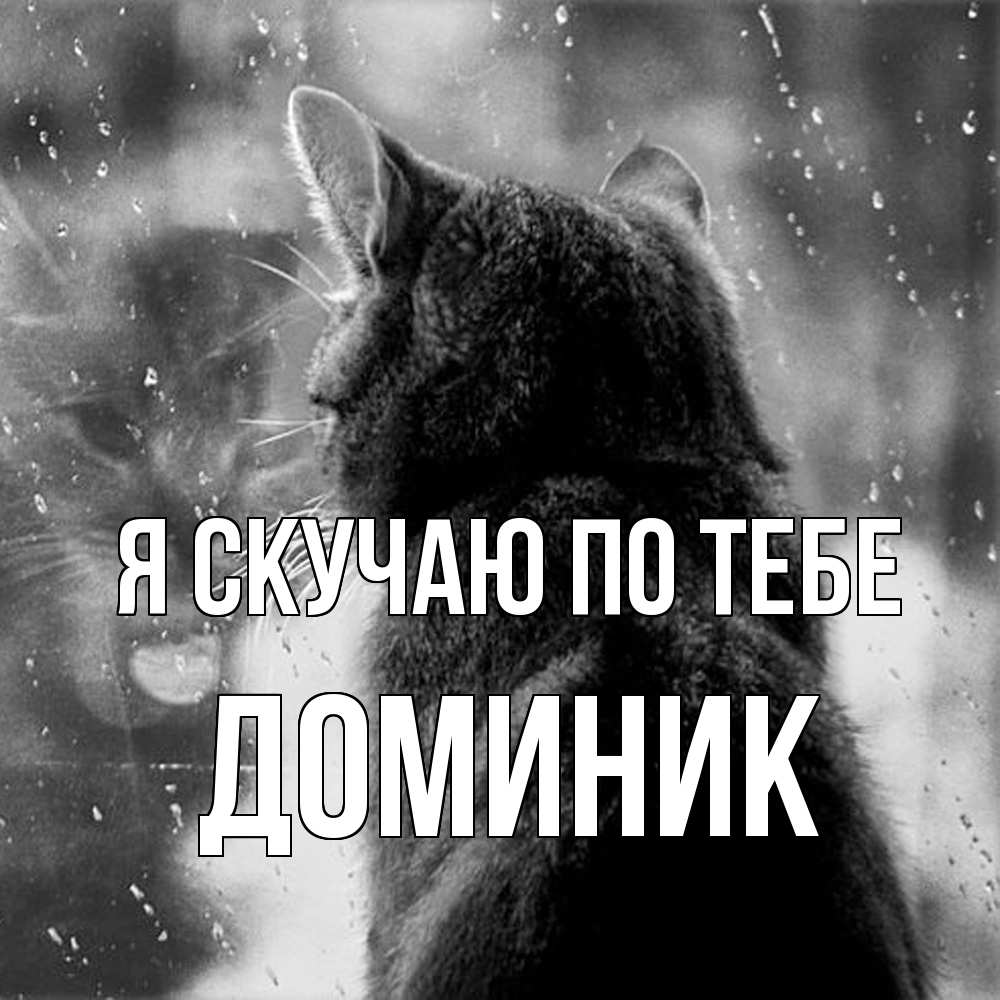 Открытка  с именем. Доминик, Я скучаю по тебе  