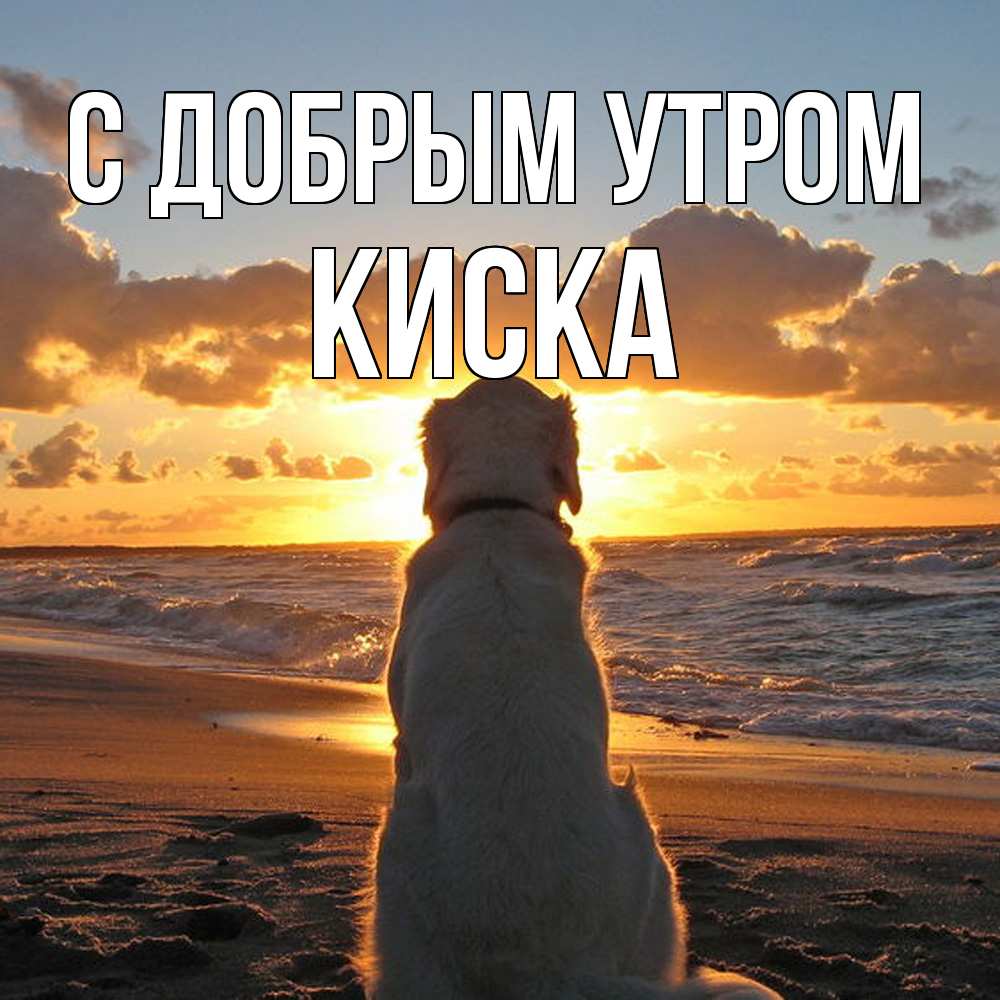 Открытка  с именем. Киска, С добрым утром  