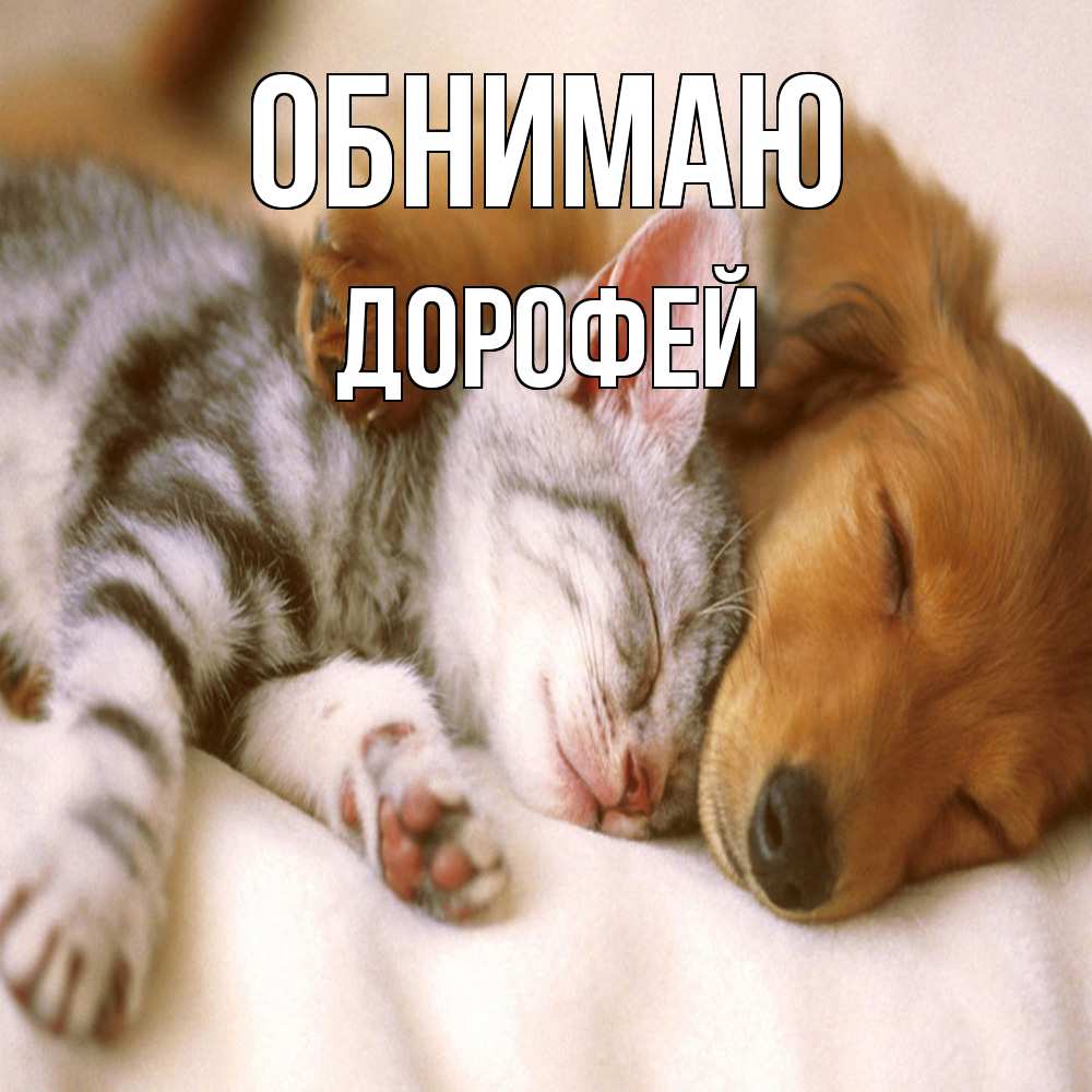 Открытка  с именем. Дорофей, Обнимаю  