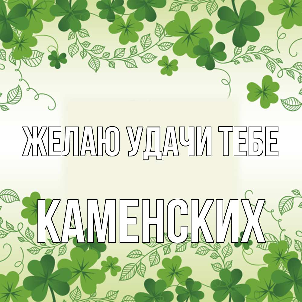 Открытка  с именем. Каменских, Желаю удачи тебе  