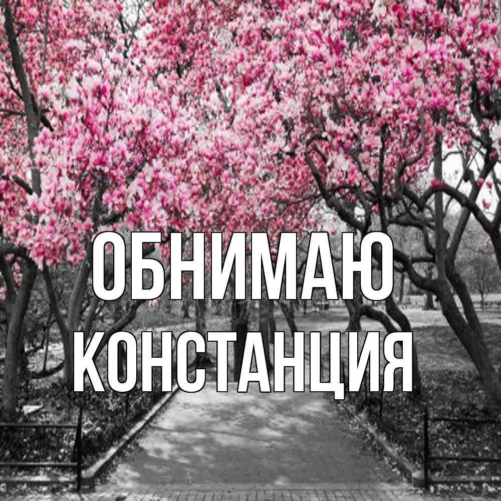 Открытка  с именем. Констанция, Обнимаю  