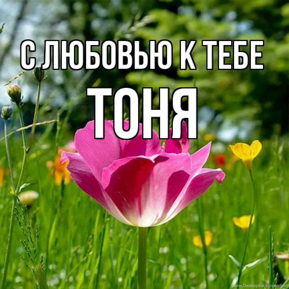 Открытка  с именем. Тоня, С любовью к тебе  