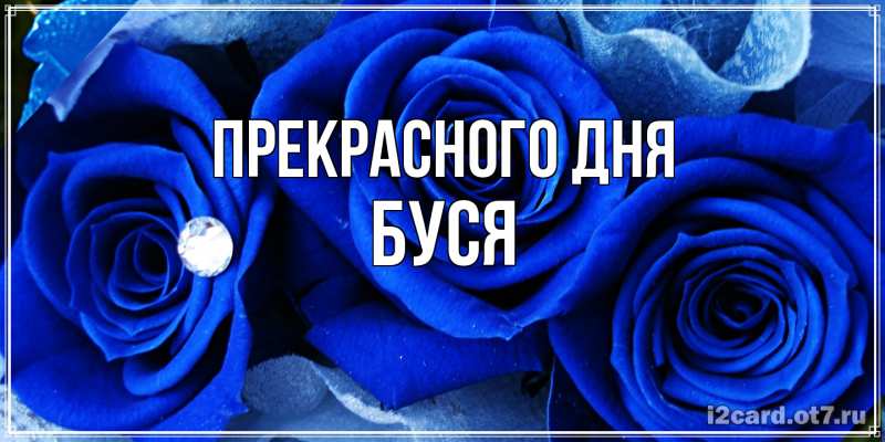 Картинка Прекрасного дня, Буся