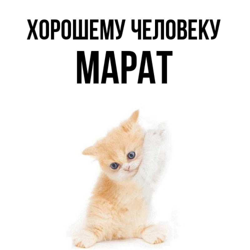 Картинка Хорошему человеку, Марат