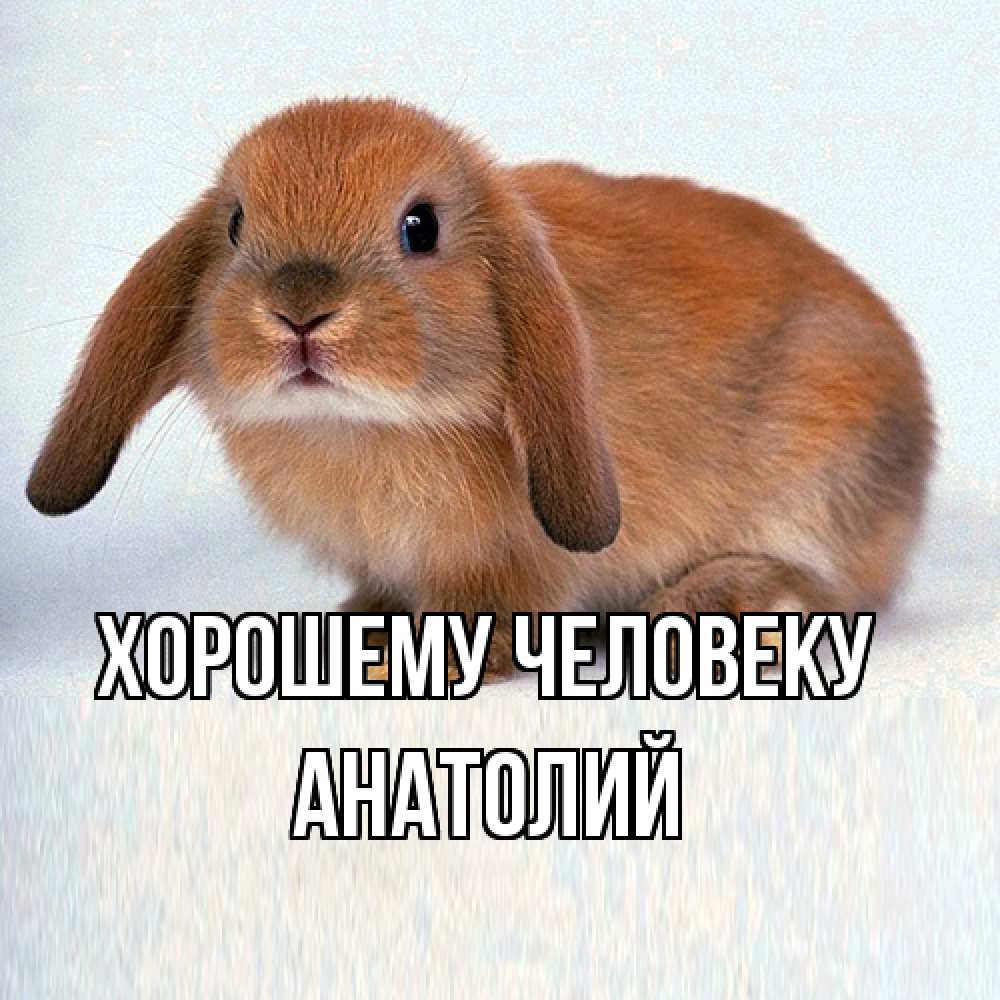 Открытка  с именем. Анатолий, Хорошему человеку  