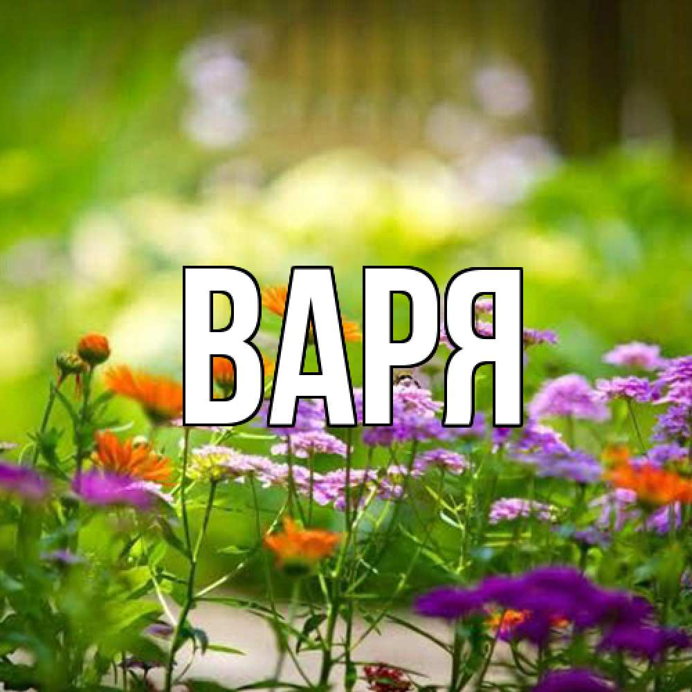 Открытка  с именем. варя, Главная  