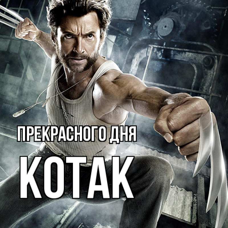 Картинка Прекрасного дня, КОТАК