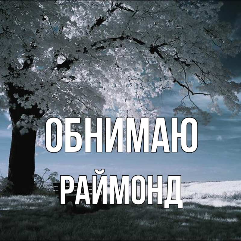 Картинка Обнимаю, Раймонд