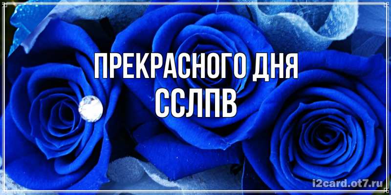 Картинка Прекрасного дня, Сслпв