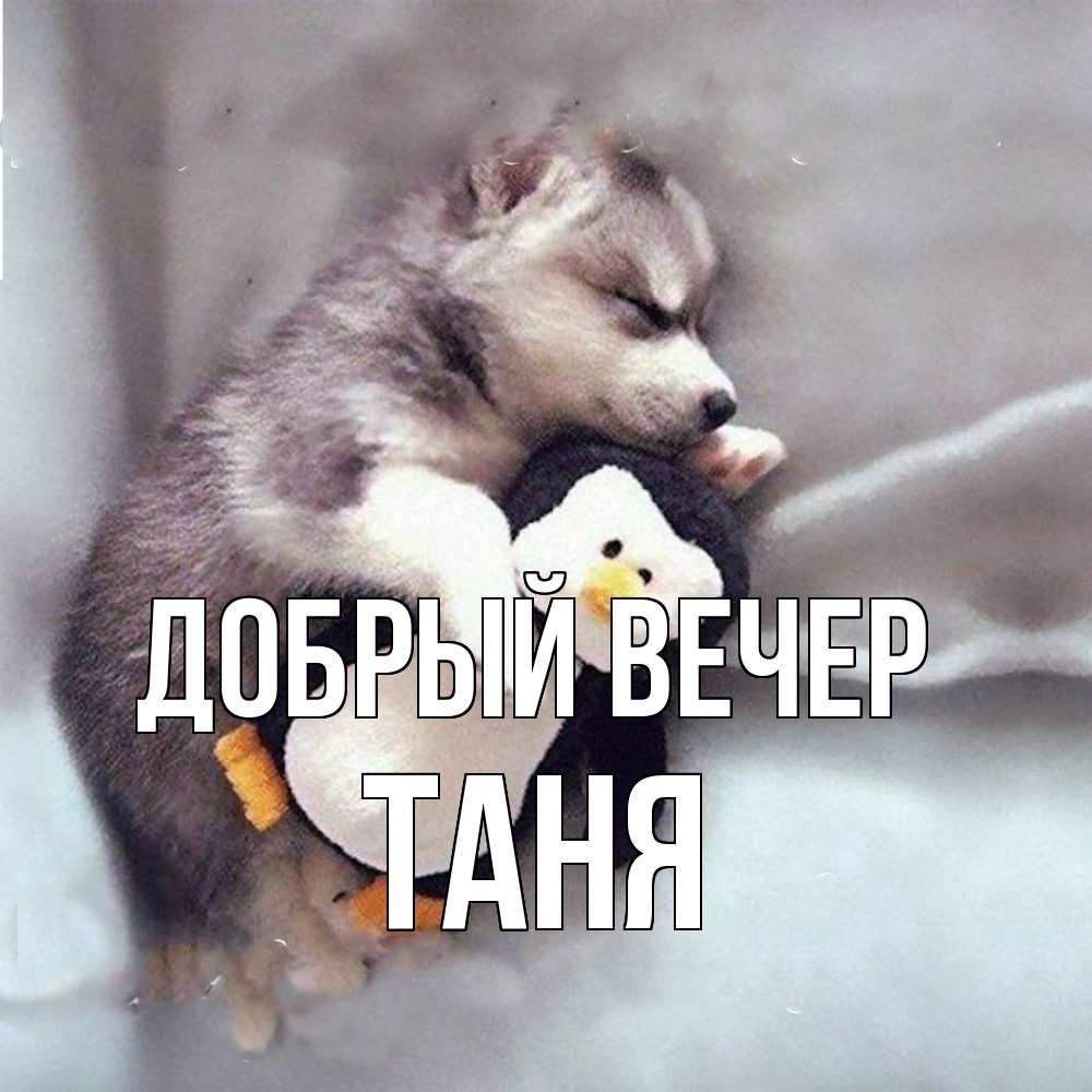 Открытка  с именем. Таня, Добрый вечер  