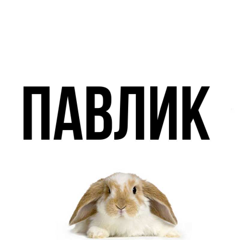 Картинка  с именем , Павлик