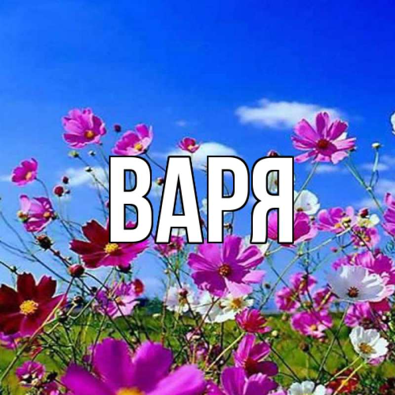 Картинка  с именем , варя