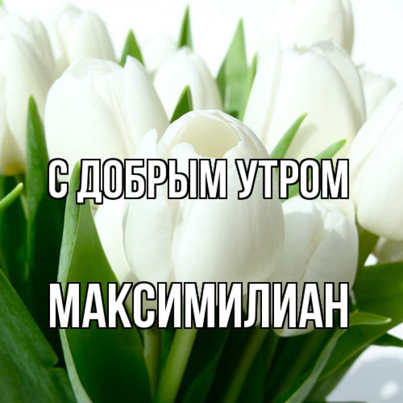 Картинка С добрым утром, Максимилиан
