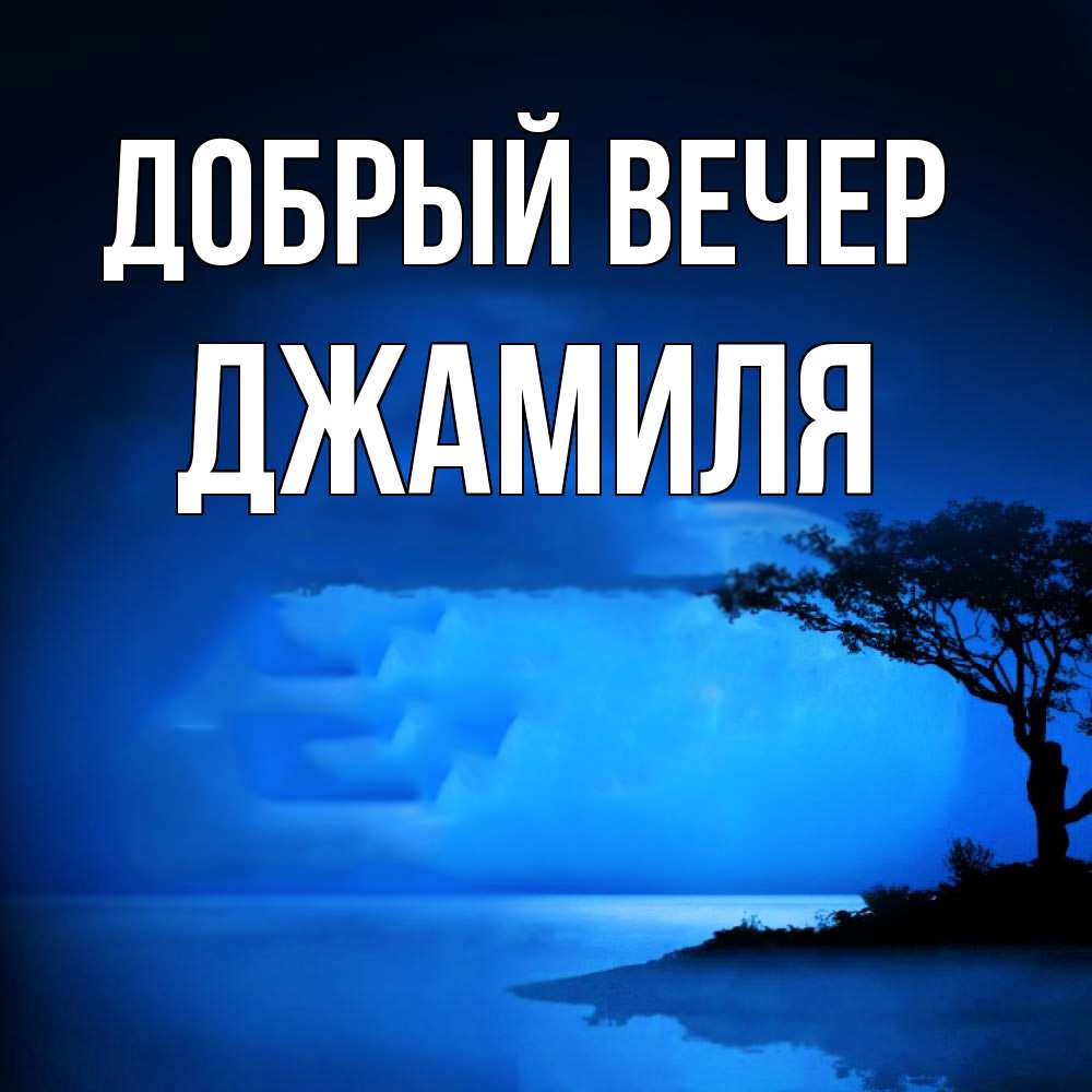 Открытка  с именем. Джамиля, Добрый вечер  