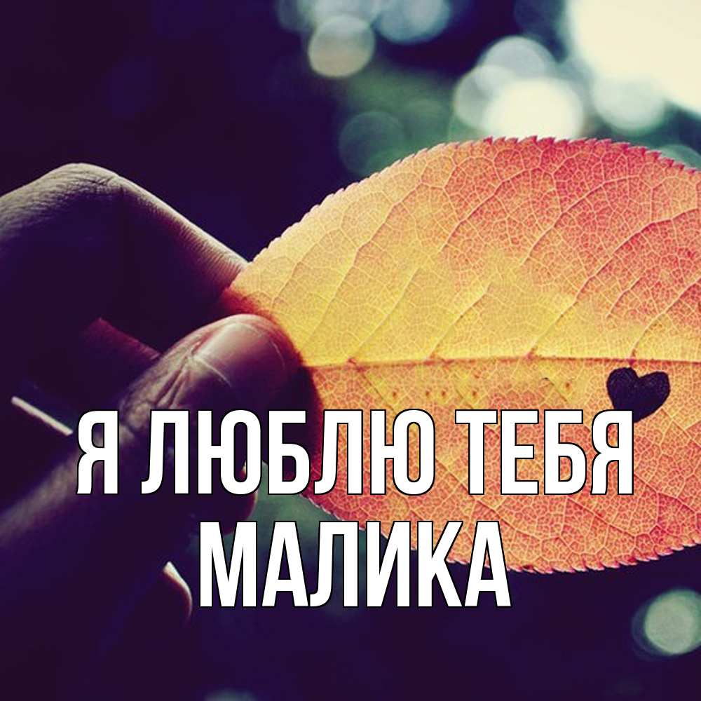 Открытка  с именем. Малика, Я люблю тебя  