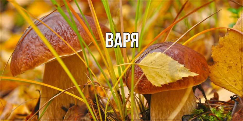 Открытка  с именем. варя, Главная  