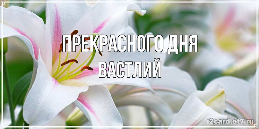 Открытка  с именем. Вастлий, Прекрасного дня  