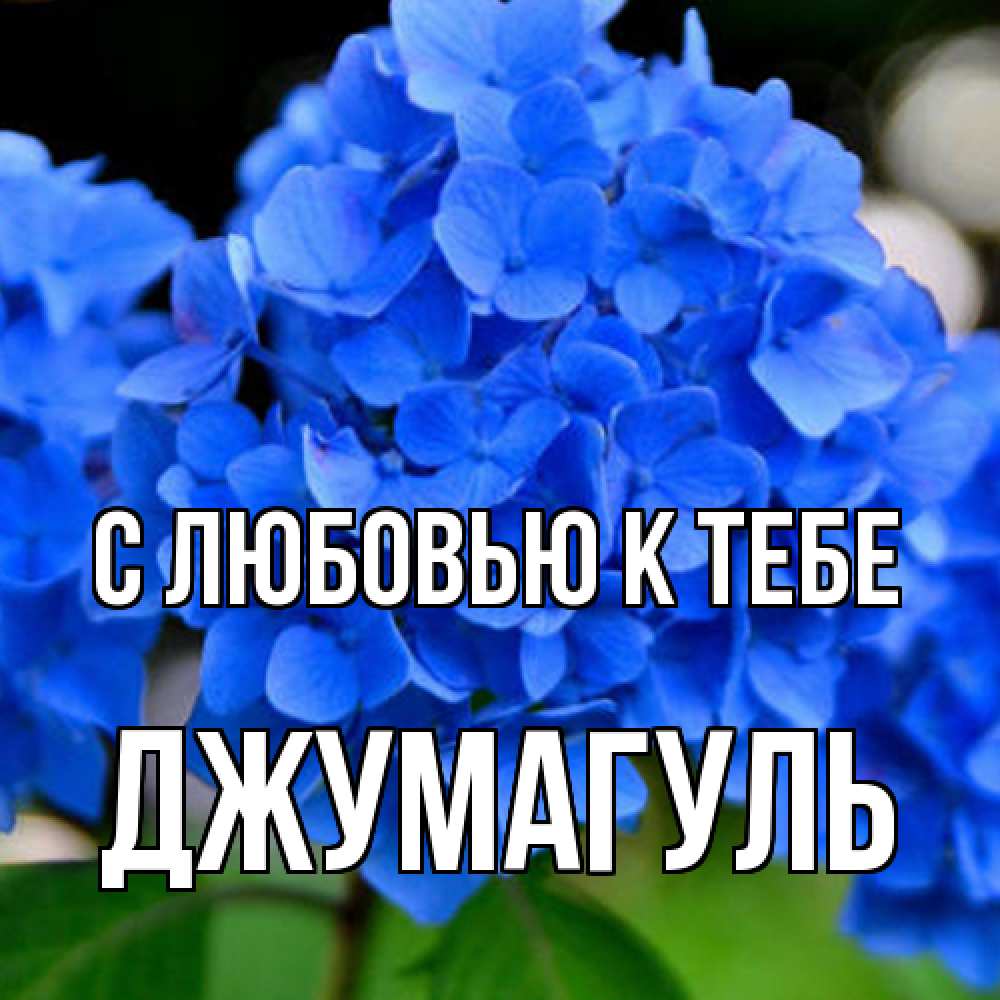 Открытка  с именем. Джумагуль, С любовью к тебе  