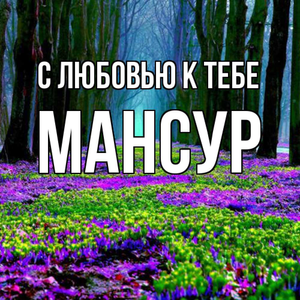 Открытка  с именем. Мансур, С любовью к тебе  