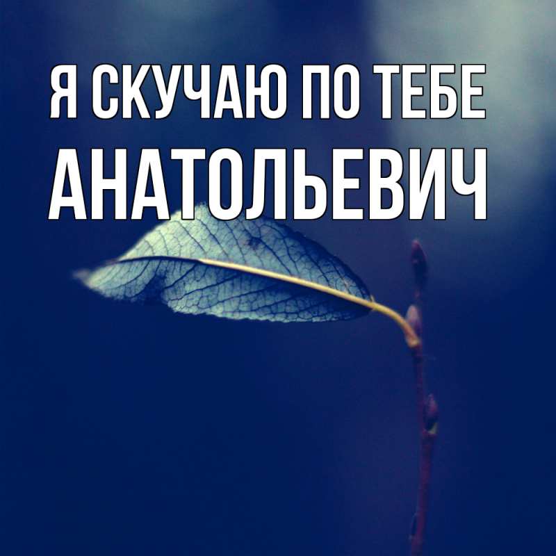Картинка Я скучаю по тебе, Анатольевич