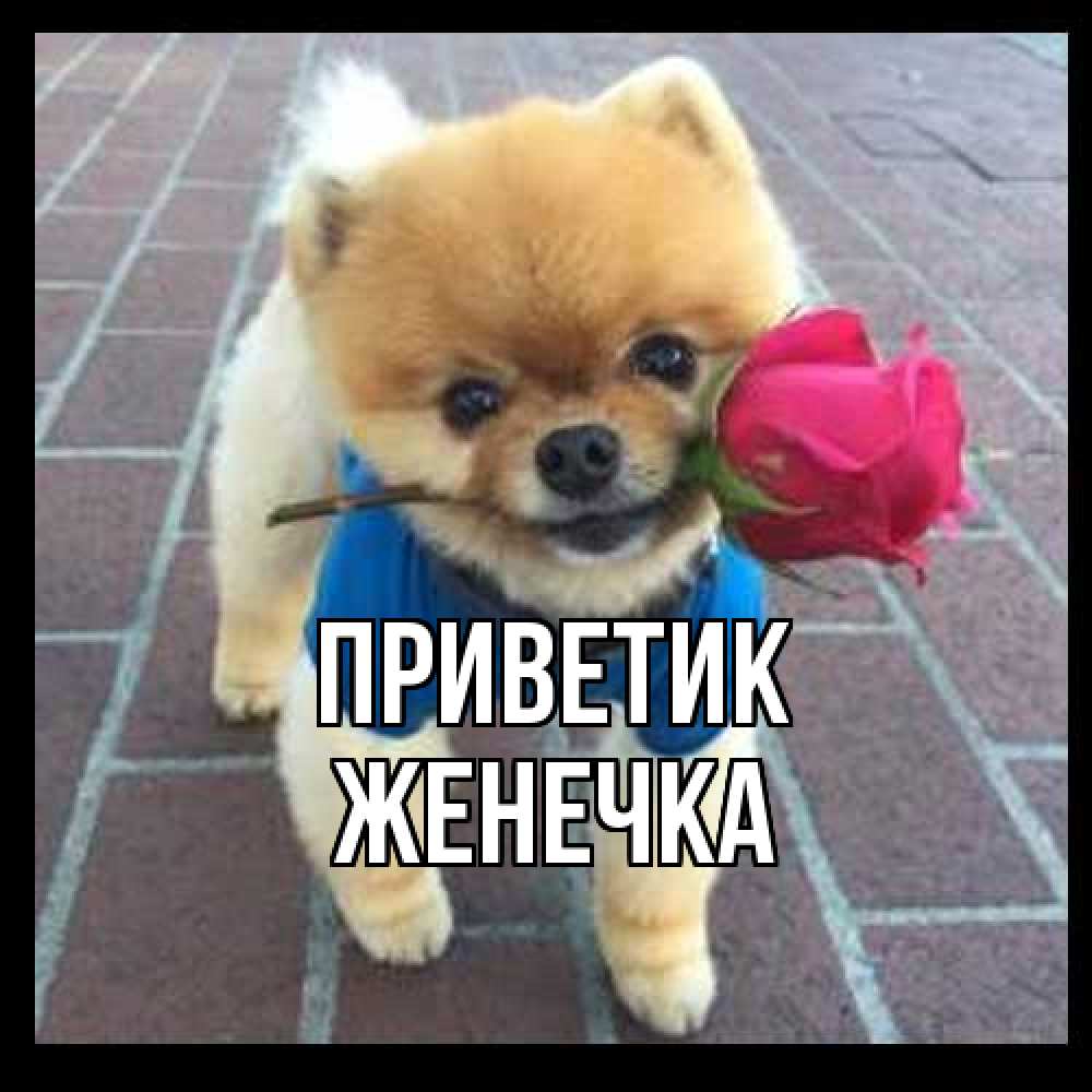 Открытка  с именем. Женечка, приветик  