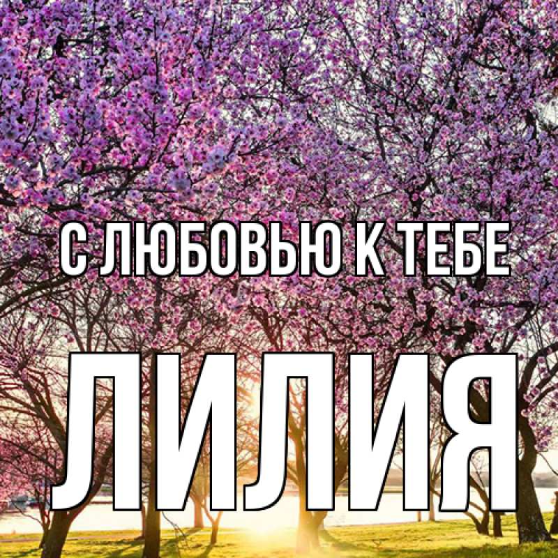 Картинка С любовью к тебе, ЛИлия