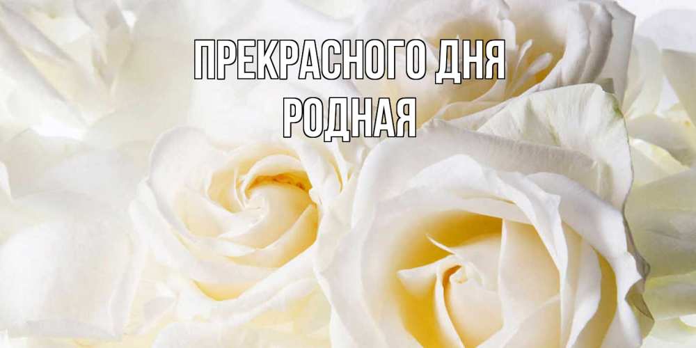 Открытка  с именем. Родная, Прекрасного дня  