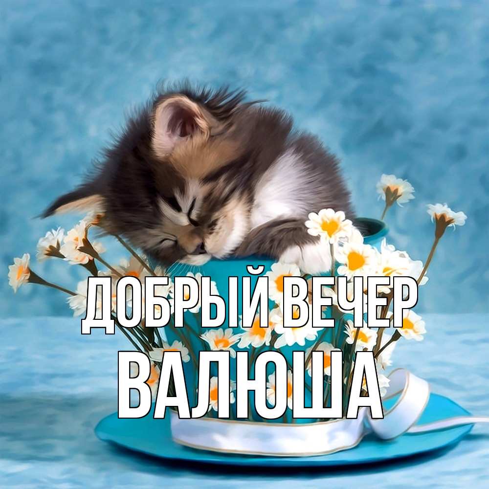 Открытка  с именем. Валюша, Добрый вечер  
