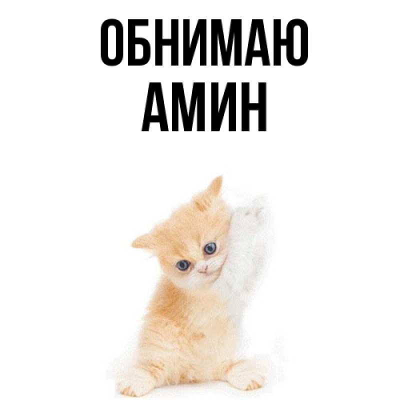 Картинка Обнимаю, Амин