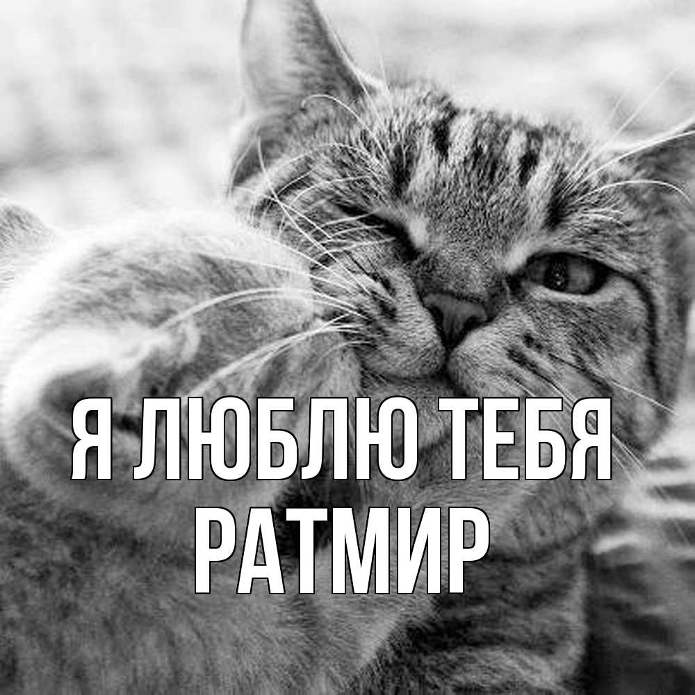 Открытка  с именем. Ратмир, Я люблю тебя  