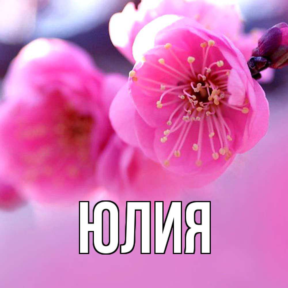 Открытка  с именем. Юлия, Главная  