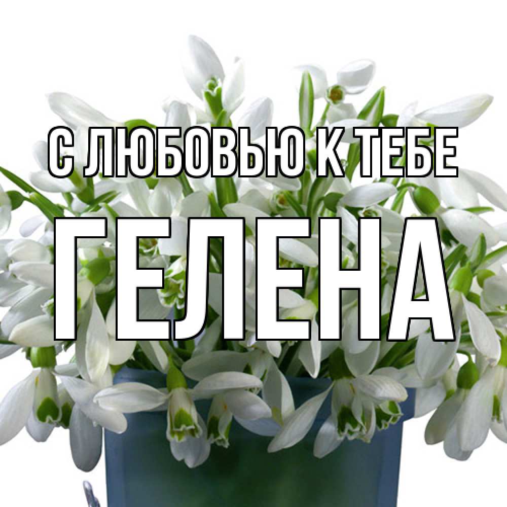 Открытка  с именем. Гелена, С любовью к тебе  