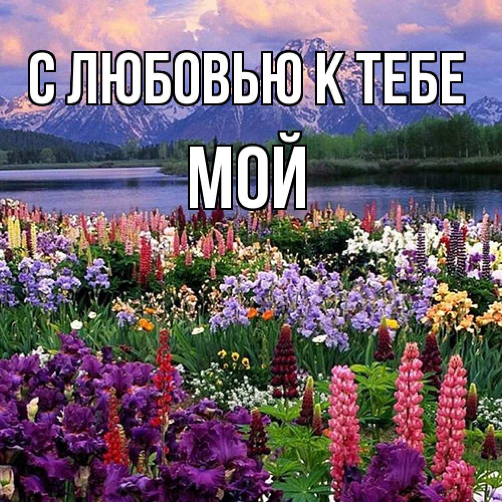 Открытка  с именем. Мой, С любовью к тебе  