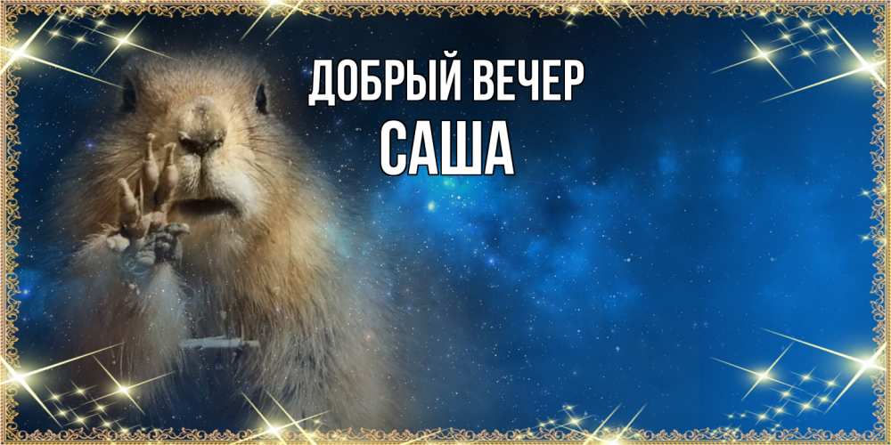 Открытка  с именем. Саша, Добрый вечер  