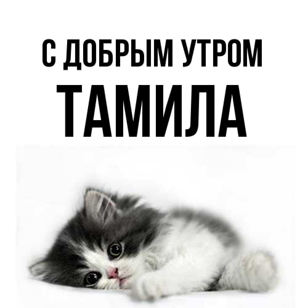 Открытка  с именем. Тамила, С добрым утром  