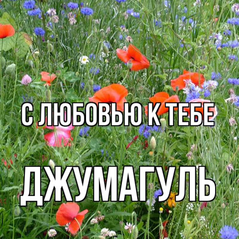 Картинка С любовью к тебе, Джумагуль