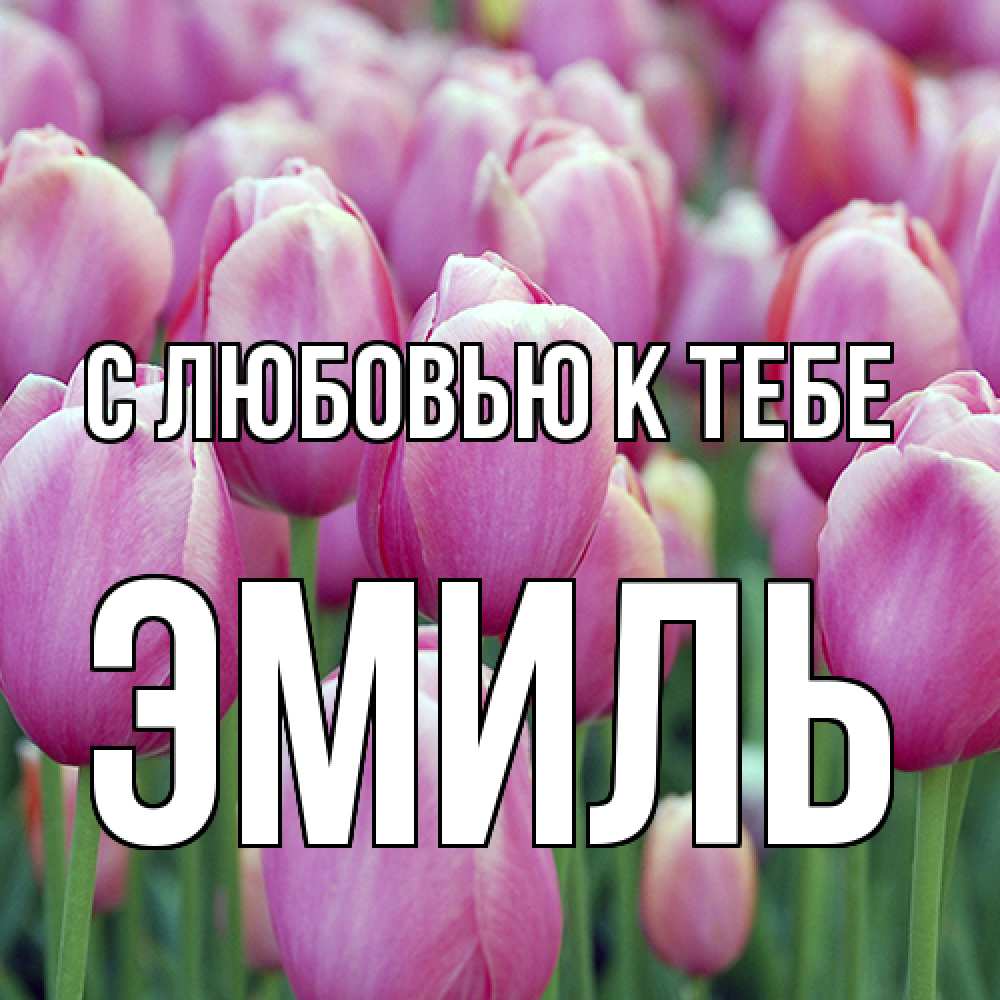 Открытка  с именем. Эмиль, С любовью к тебе  